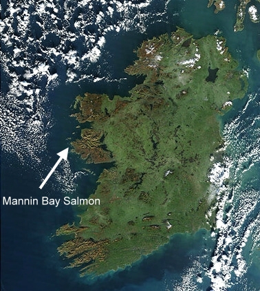 Satellite image of Ireland showing location of Mannin Bay Salmon.